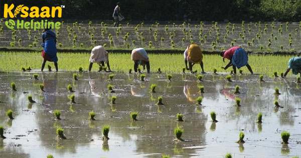 महाराष्ट्र में किसानों की मदद के लिए सरकार द्वारा स्वीकृत 700 करोड़ रुपये के ADB- वित्त पोषित परियोजना